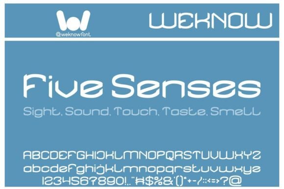 Five Senses: Where Gothic Soul Meets Futuristic Edge