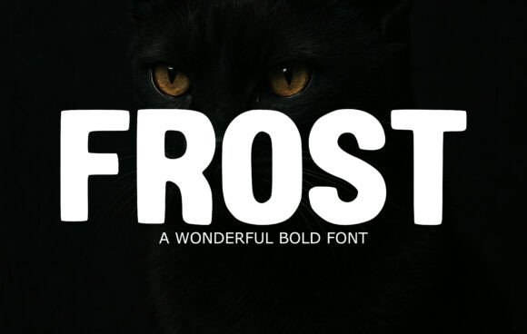 Frost: A Modern Sans Serif With a Friendly Edge
